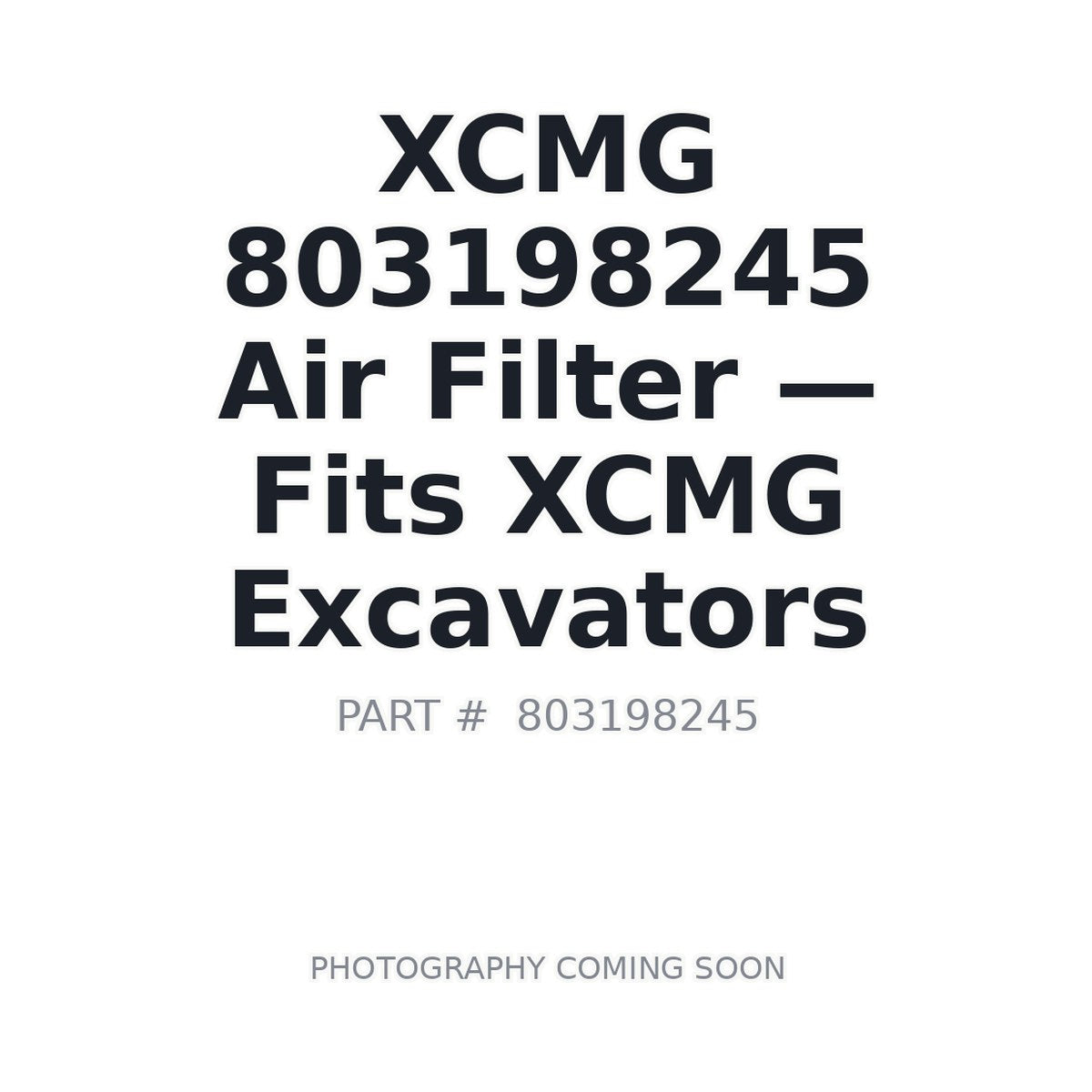 803198245 XCMG Filters