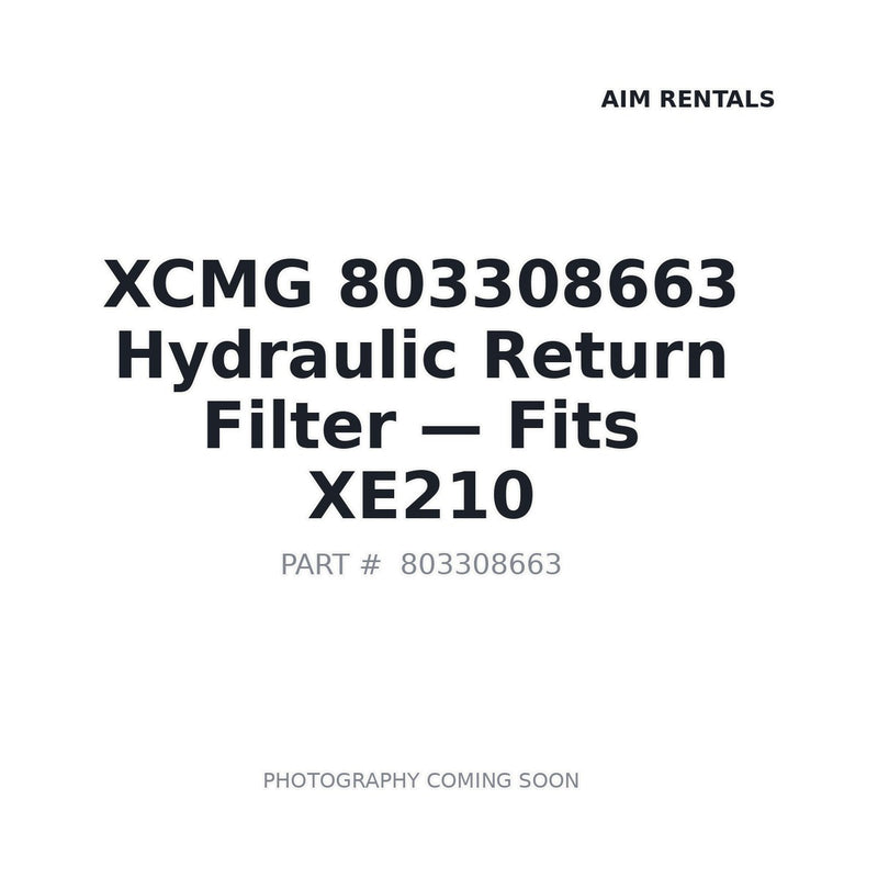 XCMG 803308663 hydraulic return oil filter TLX235LC100 EF-466 for XE210 XE215C