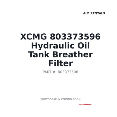 803373596 XCMG Hydraulic Filter