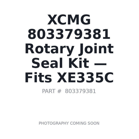 803379381 XCMG Hydraulic Seals