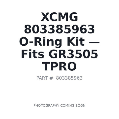 803385963 XCMG Hydraulic Seals