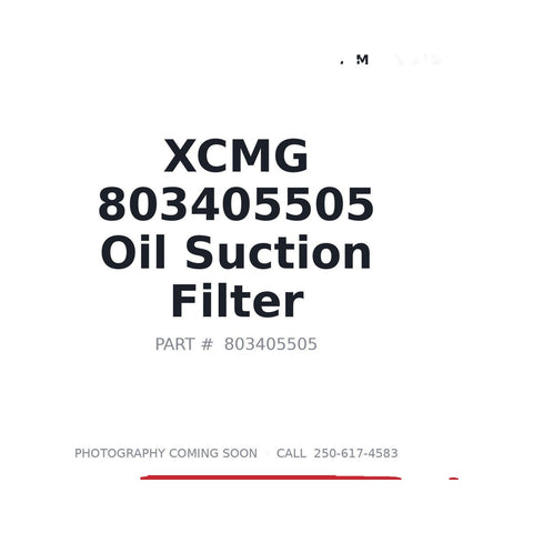 Genuine XCMG 803405505 EF-550-100 Hydraulic Suction Filter XE370DK XE400D