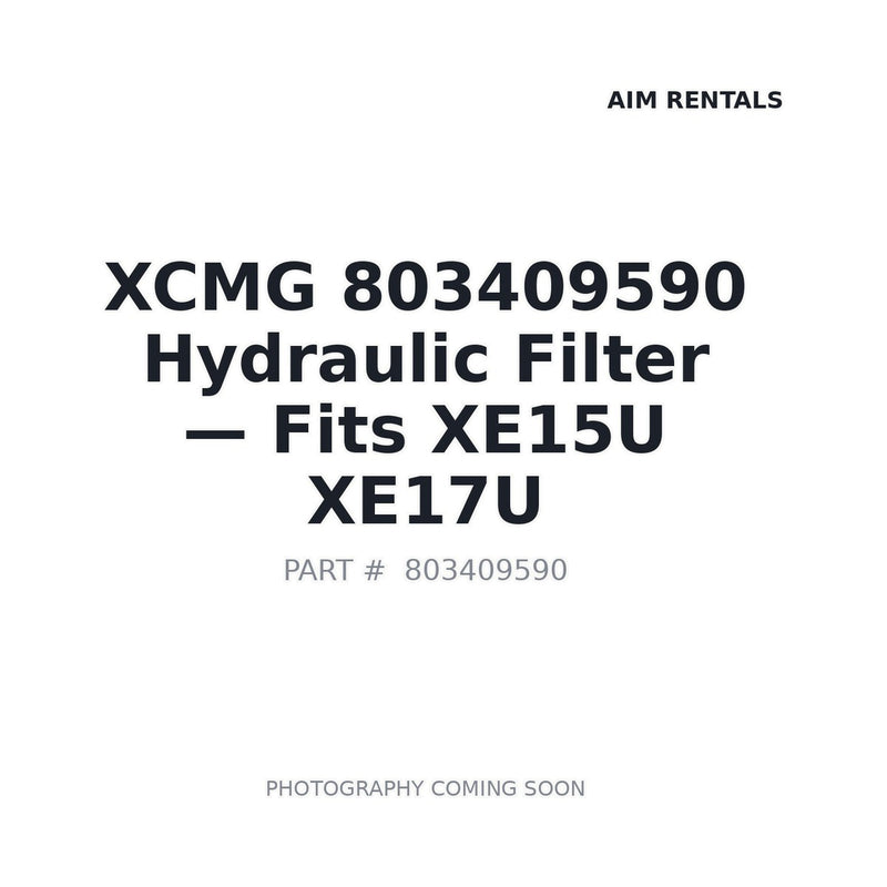 803409590 XCMG Filters