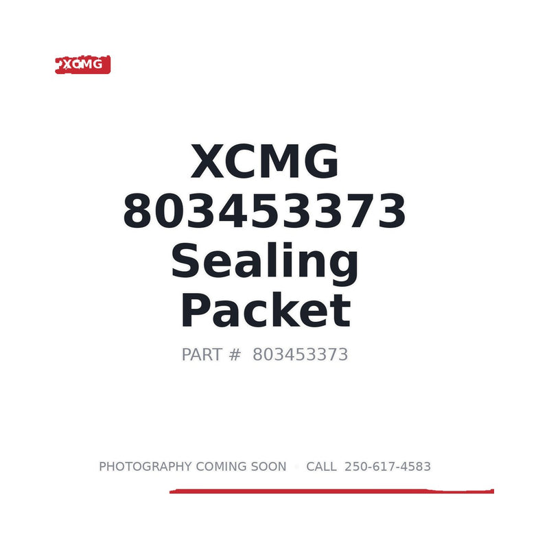 Genuine XCMG 803453373 Seal Kit for GR165 and GR2205T Motor Grader