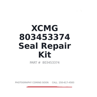 803453374 XCMG Seal Repair Kit