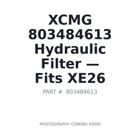 803484613 XCMG Filters
