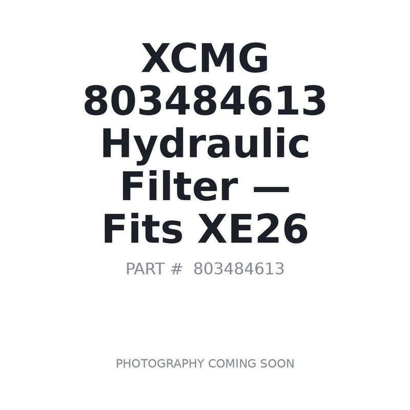 803484613 XCMG Filters