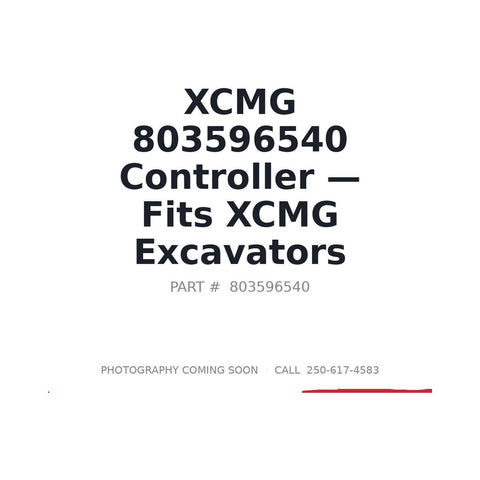 Genuine XCMG 803596540 Electrical Controller for XCMG Excavators and Loaders