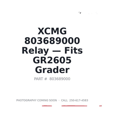 803689000 XCMG Relays