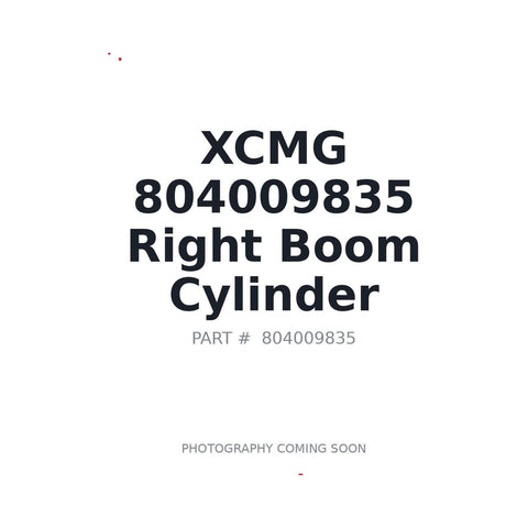 Genuine XCMG 804009835 Right Boom Cylinder XE80 XE250U