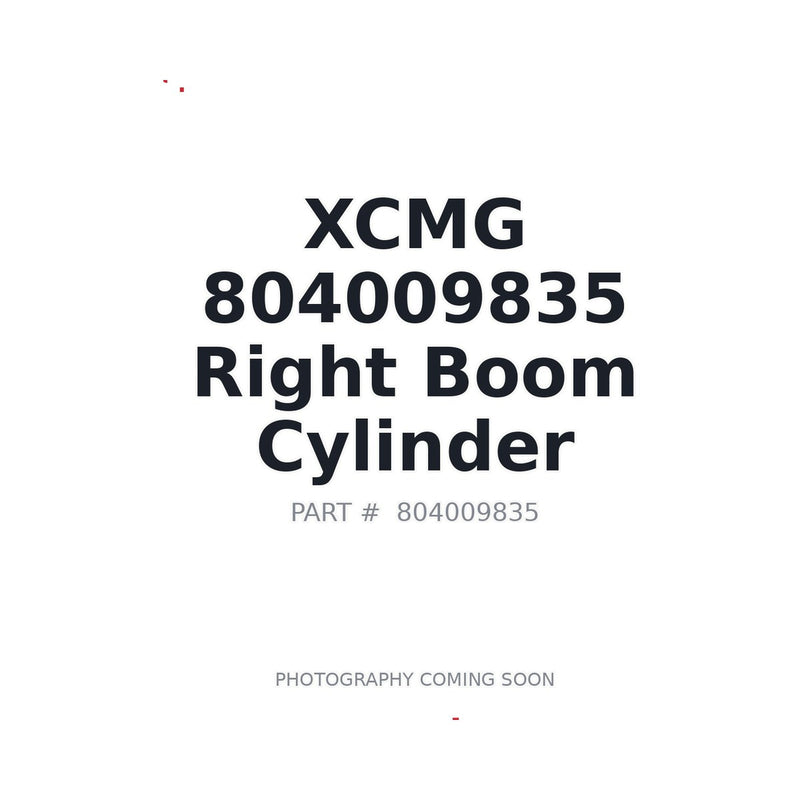 Genuine XCMG 804009835 Right Boom Cylinder XE80 XE250U
