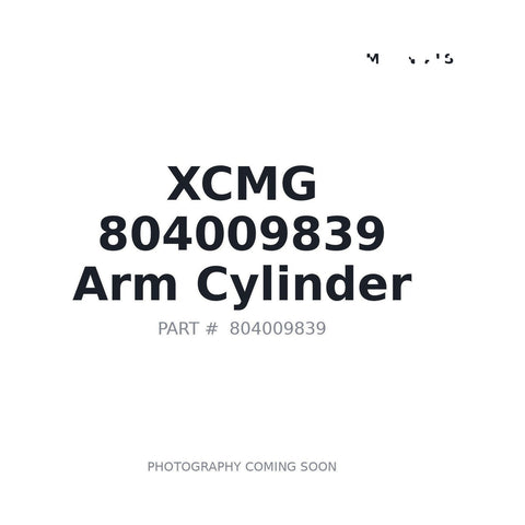 Genuine XCMG 804009839 Arm Cylinder XCMG XE27U Mini Excavator