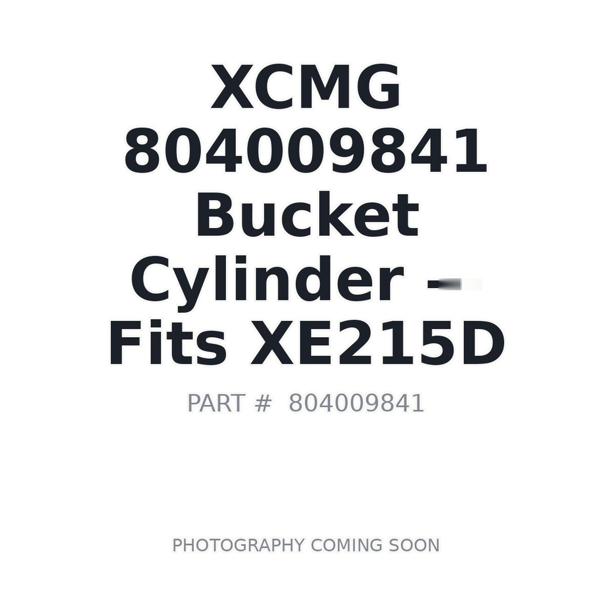 804009841 XCMG Hydraulic Cylinders