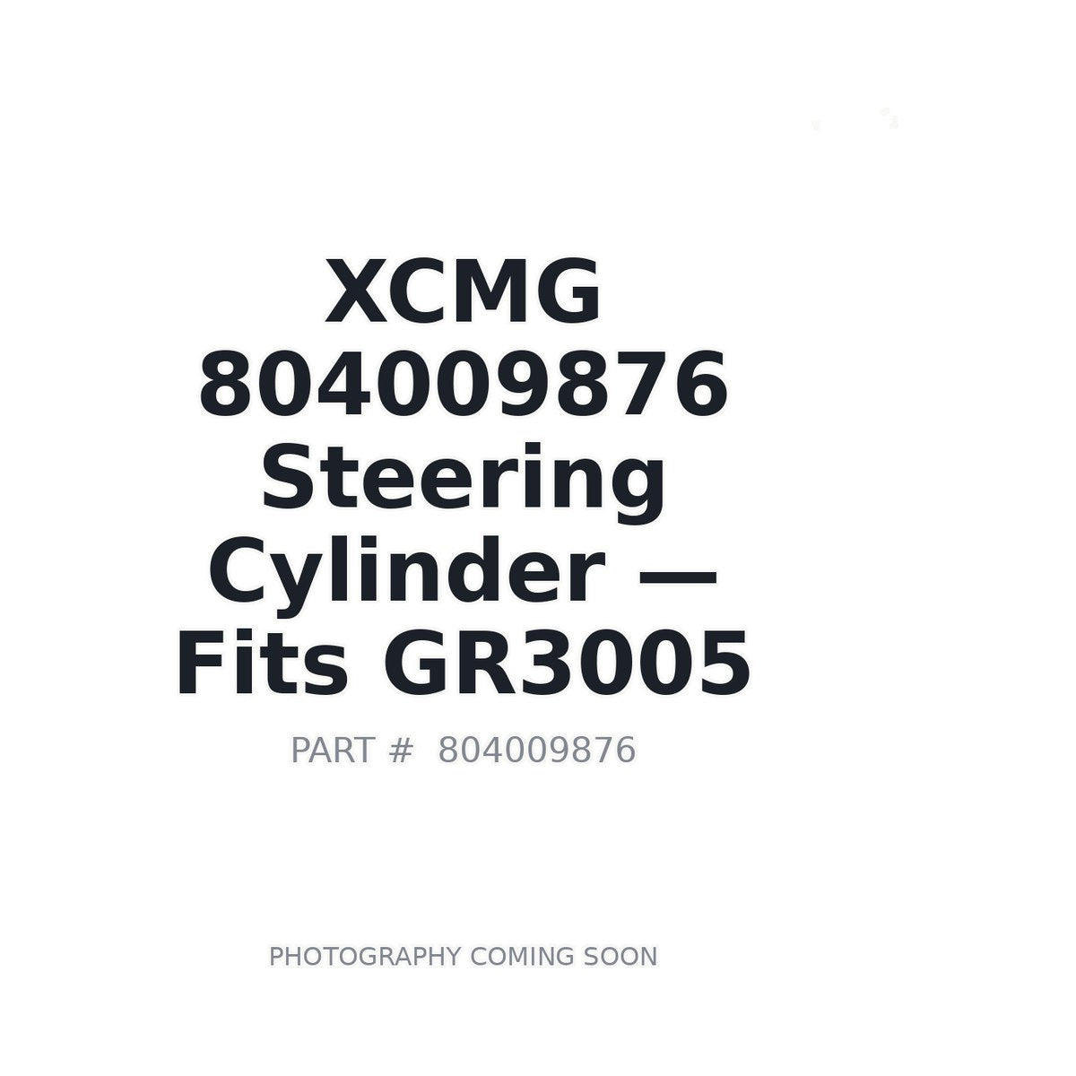 804009876 XCMG Hydraulic Cylinders