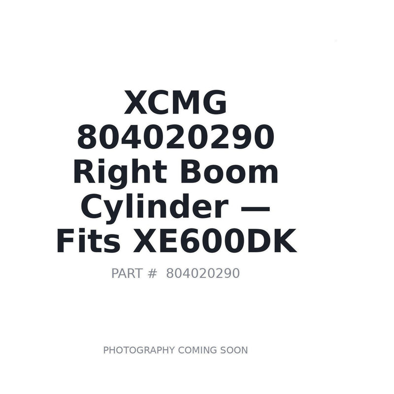 Genuine XCMG 804020290 Right Boom Cylinder for XE600DK Excavator