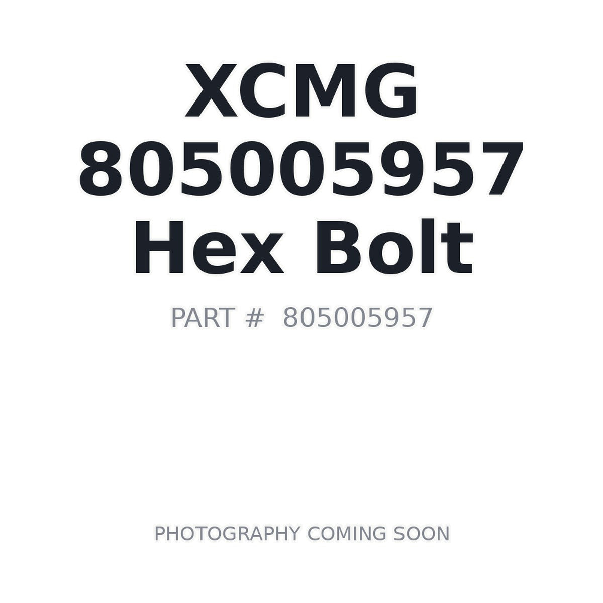 805005957 XCMG Bolt
