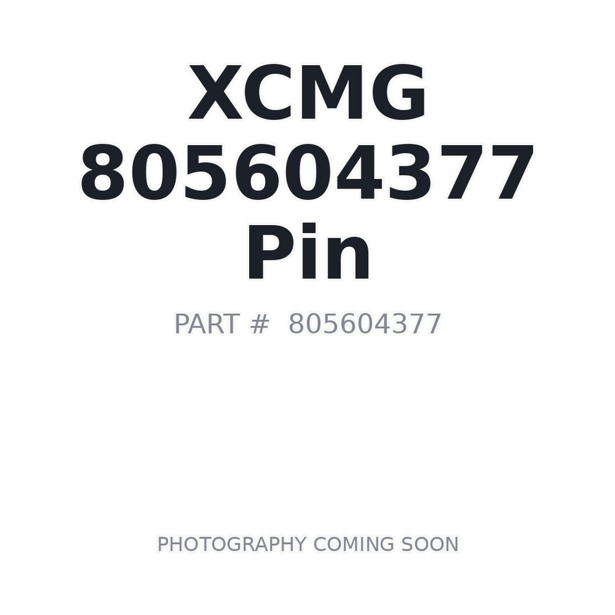 805604377 XCMG Pin
