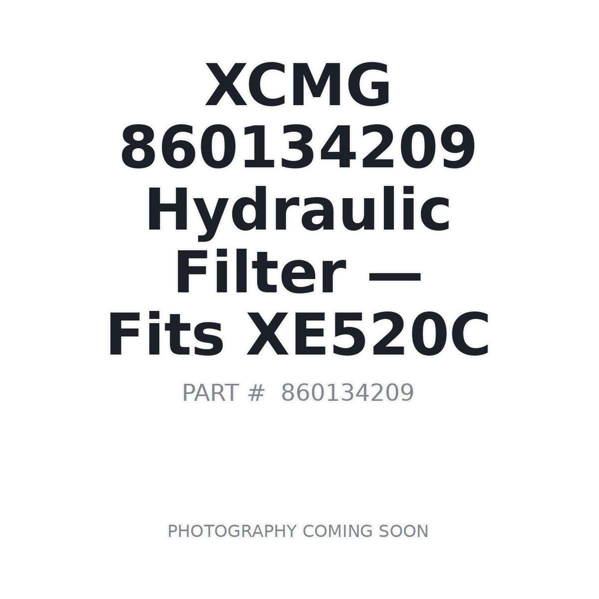 860134209 XCMG Filters