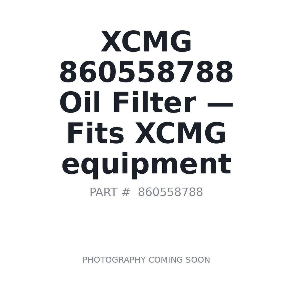 860558788 XCMG Filters