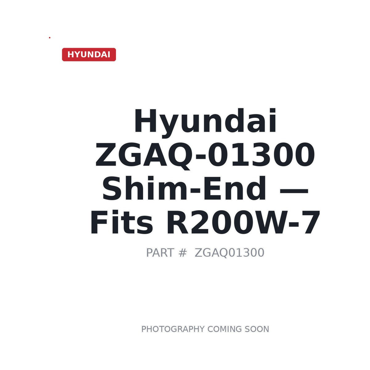 ZGAQ-01300 Hyundai Shims . Fits R200W-7