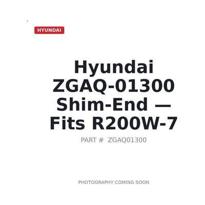 ZGAQ-01300 Hyundai Shims . Fits R200W-7